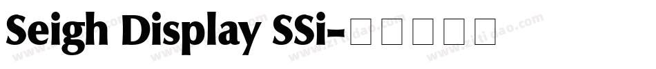 Seigh Display SSi字体转换